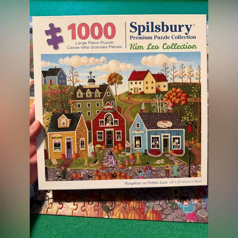 1,000 Piece Puzzle - Multicolor Houses